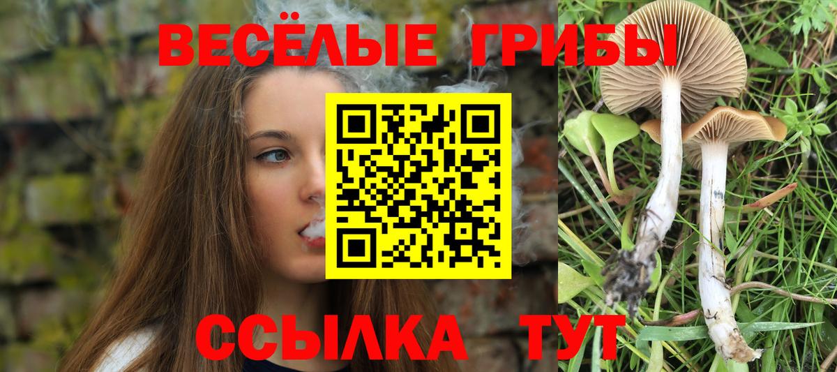 Галлюциногенные грибы мицелий  Псилоцибиновые грибы мицелий  Губаха  Вход с VPN 